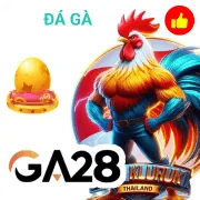 okwin Game 07